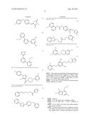 FUNCTION MODIFYING NAv1.7 ANTIBODIES diagram and image