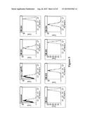 AMINO ACID SEQUENCES DIRECTED AGAINST HER2 AND POLYPEPTIDES COMPRISING THE     SAME FOR THE TREATMENT OF CANCERS AND/OR TUMORS diagram and image