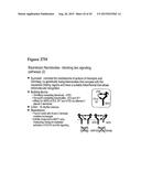 AMINO ACID SEQUENCES DIRECTED AGAINST HER2 AND POLYPEPTIDES COMPRISING THE     SAME FOR THE TREATMENT OF CANCERS AND/OR TUMORS diagram and image