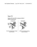 AMINO ACID SEQUENCES DIRECTED AGAINST HER2 AND POLYPEPTIDES COMPRISING THE     SAME FOR THE TREATMENT OF CANCERS AND/OR TUMORS diagram and image