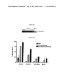 Fc Variants with Increased Affinity for FcyRIIc diagram and image