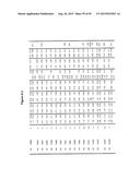 Fc Variants with Increased Affinity for FcyRIIc diagram and image