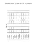 Fc Variants with Increased Affinity for FcyRIIc diagram and image