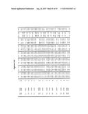 Fc Variants with Increased Affinity for FcyRIIc diagram and image