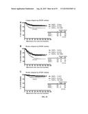 ANTIBODIES AND VACCINES FOR USE IN TREATING ROR1 CANCERS AND INHIBITING     METASTASIS diagram and image