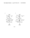 STRAINS AND METHODS FOR PLASMID MAINTENANCE diagram and image