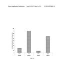 STRAINS AND METHODS FOR PLASMID MAINTENANCE diagram and image