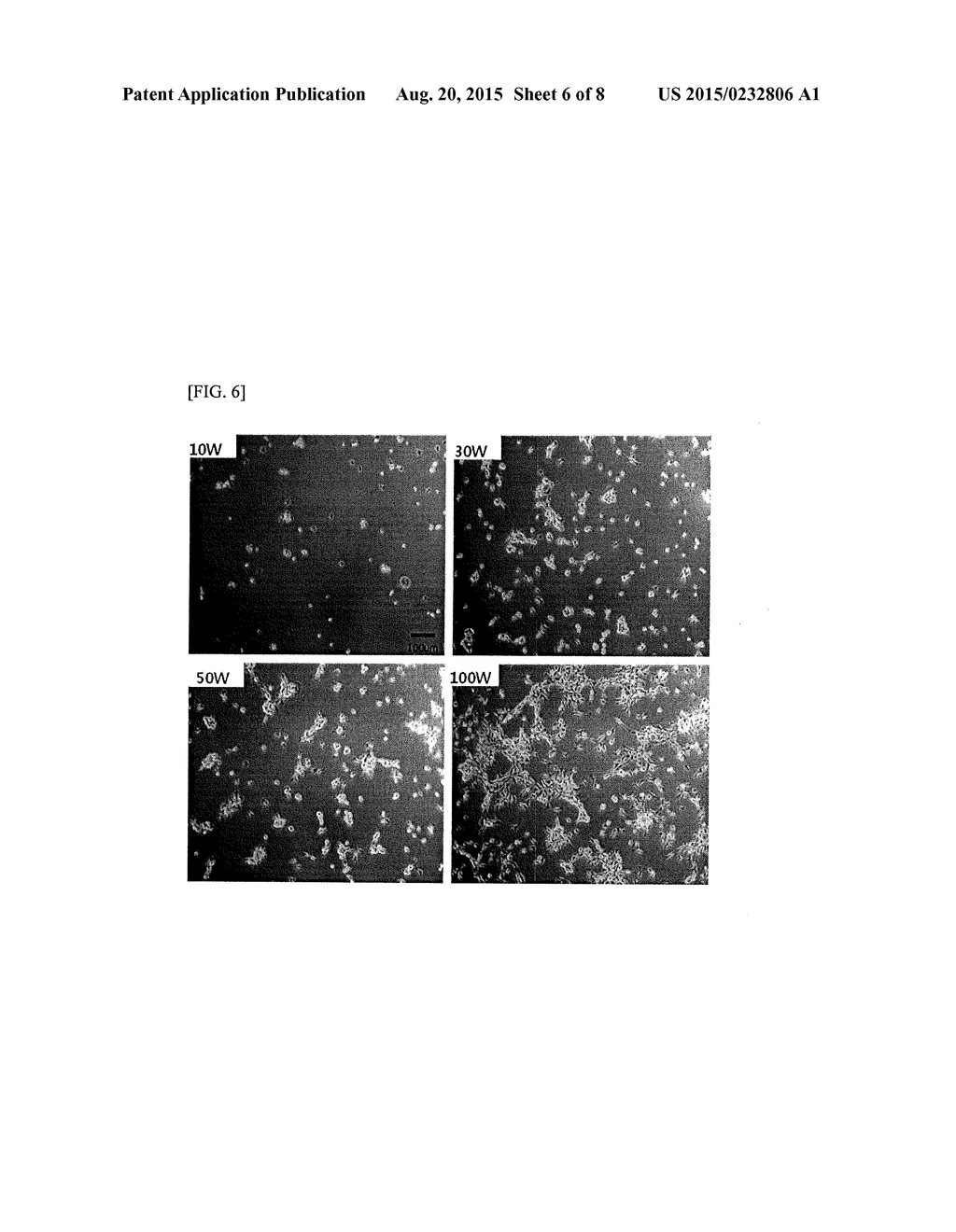 Method of manufacturing patterned substrate for culturing cells, patterned     substrate for culturing cells, patterning method of culturing cells, and     patterned cell chip - diagram, schematic, and image 07