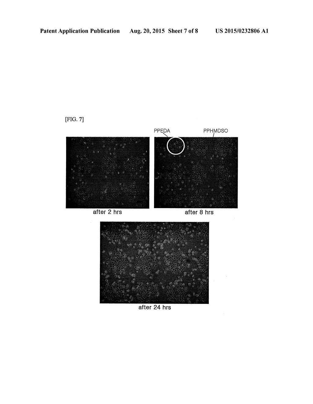 Method of manufacturing patterned substrate for culturing cells, patterned     substrate for culturing cells, patterning method of culturing cells, and     patterned cell chip - diagram, schematic, and image 08