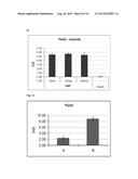 METHOD FOR ISOLATING RNA INCLUDING SMALL RNA WITH HIGH YIELD diagram and image