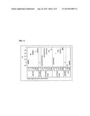 NUCLEIC ACID MOLECULES THAT TARGET THE VACUOLAR ATPASE C SUBUNIT AND     CONFER RESISTANCE TO COLEOPTERAN PESTS diagram and image