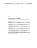 NUCLEIC ACID MOLECULES THAT TARGET THE VACUOLAR ATPASE C SUBUNIT AND     CONFER RESISTANCE TO COLEOPTERAN PESTS diagram and image