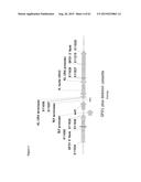 METHODS FOR THE IMPROVEMENT OF PRODUCT YIELD AND PRODUCTION IN A     MICROORGAMISM THROUGH THE ADDITION OF ALTERNATE ELECTRON ACCEPTORS diagram and image