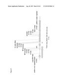 METHODS FOR THE IMPROVEMENT OF PRODUCT YIELD AND PRODUCTION IN A     MICROORGAMISM THROUGH THE ADDITION OF ALTERNATE ELECTRON ACCEPTORS diagram and image