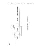 METHODS FOR THE IMPROVEMENT OF PRODUCT YIELD AND PRODUCTION IN A     MICROORGAMISM THROUGH THE ADDITION OF ALTERNATE ELECTRON ACCEPTORS diagram and image