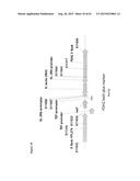 METHODS FOR THE IMPROVEMENT OF PRODUCT YIELD AND PRODUCTION IN A     MICROORGAMISM THROUGH THE ADDITION OF ALTERNATE ELECTRON ACCEPTORS diagram and image