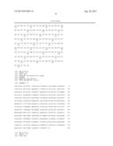 METHODS FOR THE IMPROVEMENT OF PRODUCT YIELD AND PRODUCTION IN A     MICROORGAMISM THROUGH THE ADDITION OF ALTERNATE ELECTRON ACCEPTORS diagram and image