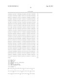 METHODS FOR THE IMPROVEMENT OF PRODUCT YIELD AND PRODUCTION IN A     MICROORGAMISM THROUGH THE ADDITION OF ALTERNATE ELECTRON ACCEPTORS diagram and image