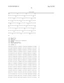 METHODS FOR THE IMPROVEMENT OF PRODUCT YIELD AND PRODUCTION IN A     MICROORGAMISM THROUGH THE ADDITION OF ALTERNATE ELECTRON ACCEPTORS diagram and image