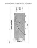 METHODS FOR THE IMPROVEMENT OF PRODUCT YIELD AND PRODUCTION IN A     MICROORGAMISM THROUGH THE ADDITION OF ALTERNATE ELECTRON ACCEPTORS diagram and image