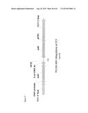 METHODS FOR THE IMPROVEMENT OF PRODUCT YIELD AND PRODUCTION IN A     MICROORGAMISM THROUGH THE ADDITION OF ALTERNATE ELECTRON ACCEPTORS diagram and image