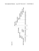 METHODS FOR THE IMPROVEMENT OF PRODUCT YIELD AND PRODUCTION IN A     MICROORGAMISM THROUGH THE ADDITION OF ALTERNATE ELECTRON ACCEPTORS diagram and image