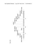 METHODS FOR THE IMPROVEMENT OF PRODUCT YIELD AND PRODUCTION IN A     MICROORGAMISM THROUGH THE ADDITION OF ALTERNATE ELECTRON ACCEPTORS diagram and image