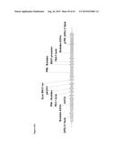 METHODS FOR THE IMPROVEMENT OF PRODUCT YIELD AND PRODUCTION IN A     MICROORGAMISM THROUGH THE ADDITION OF ALTERNATE ELECTRON ACCEPTORS diagram and image