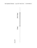 METHODS FOR THE IMPROVEMENT OF PRODUCT YIELD AND PRODUCTION IN A     MICROORGAMISM THROUGH THE ADDITION OF ALTERNATE ELECTRON ACCEPTORS diagram and image