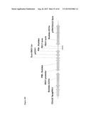 METHODS FOR THE IMPROVEMENT OF PRODUCT YIELD AND PRODUCTION IN A     MICROORGAMISM THROUGH THE ADDITION OF ALTERNATE ELECTRON ACCEPTORS diagram and image