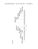 METHODS FOR THE IMPROVEMENT OF PRODUCT YIELD AND PRODUCTION IN A     MICROORGAMISM THROUGH THE ADDITION OF ALTERNATE ELECTRON ACCEPTORS diagram and image