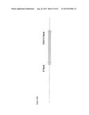 METHODS FOR THE IMPROVEMENT OF PRODUCT YIELD AND PRODUCTION IN A     MICROORGAMISM THROUGH THE ADDITION OF ALTERNATE ELECTRON ACCEPTORS diagram and image