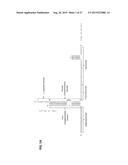 CRISPR-RELATED METHODS AND COMPOSITIONS WITH GOVERNING gRNAS diagram and image