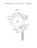 LACTATE DEHYDROGENASE MUTANT, POLYNUCLEOTIDE CODING FOR THE MUTANT, YEAST     CELL INCLUDING THE POLYNUCLEOTIDE, METHOD OF PREPARING THE MUTANT, AND     METHOD OF PRODUCING THE LACTATE USING THE SAME diagram and image