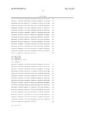 LACTATE DEHYDROGENASE MUTANT, POLYNUCLEOTIDE CODING FOR THE MUTANT, YEAST     CELL INCLUDING THE POLYNUCLEOTIDE, METHOD OF PREPARING THE MUTANT, AND     METHOD OF PRODUCING THE LACTATE USING THE SAME diagram and image