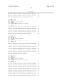 LACTATE DEHYDROGENASE MUTANT, POLYNUCLEOTIDE CODING FOR THE MUTANT, YEAST     CELL INCLUDING THE POLYNUCLEOTIDE, METHOD OF PREPARING THE MUTANT, AND     METHOD OF PRODUCING THE LACTATE USING THE SAME diagram and image