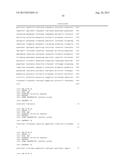 LACTATE DEHYDROGENASE MUTANT, POLYNUCLEOTIDE CODING FOR THE MUTANT, YEAST     CELL INCLUDING THE POLYNUCLEOTIDE, METHOD OF PREPARING THE MUTANT, AND     METHOD OF PRODUCING THE LACTATE USING THE SAME diagram and image