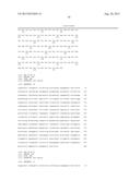 LACTATE DEHYDROGENASE MUTANT, POLYNUCLEOTIDE CODING FOR THE MUTANT, YEAST     CELL INCLUDING THE POLYNUCLEOTIDE, METHOD OF PREPARING THE MUTANT, AND     METHOD OF PRODUCING THE LACTATE USING THE SAME diagram and image