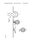 METHODS OF ACTIVATING CLOSTRIDIAL TOXINS diagram and image