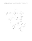 MODIFIED OLIGONUCLEOTIDES COMPRISING THIOL FUNCTIONS AND USE THEREOF FOR     DETECTING NUCLEIC ACIDS diagram and image