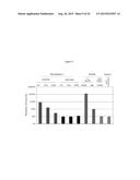 MODIFIED OLIGONUCLEOTIDES COMPRISING THIOL FUNCTIONS AND USE THEREOF FOR     DETECTING NUCLEIC ACIDS diagram and image