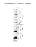 MODIFIED OLIGONUCLEOTIDES COMPRISING THIOL FUNCTIONS AND USE THEREOF FOR     DETECTING NUCLEIC ACIDS diagram and image