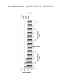 MODIFIED OLIGONUCLEOTIDES COMPRISING THIOL FUNCTIONS AND USE THEREOF FOR     DETECTING NUCLEIC ACIDS diagram and image