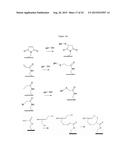 MODIFIED OLIGONUCLEOTIDES COMPRISING THIOL FUNCTIONS AND USE THEREOF FOR     DETECTING NUCLEIC ACIDS diagram and image