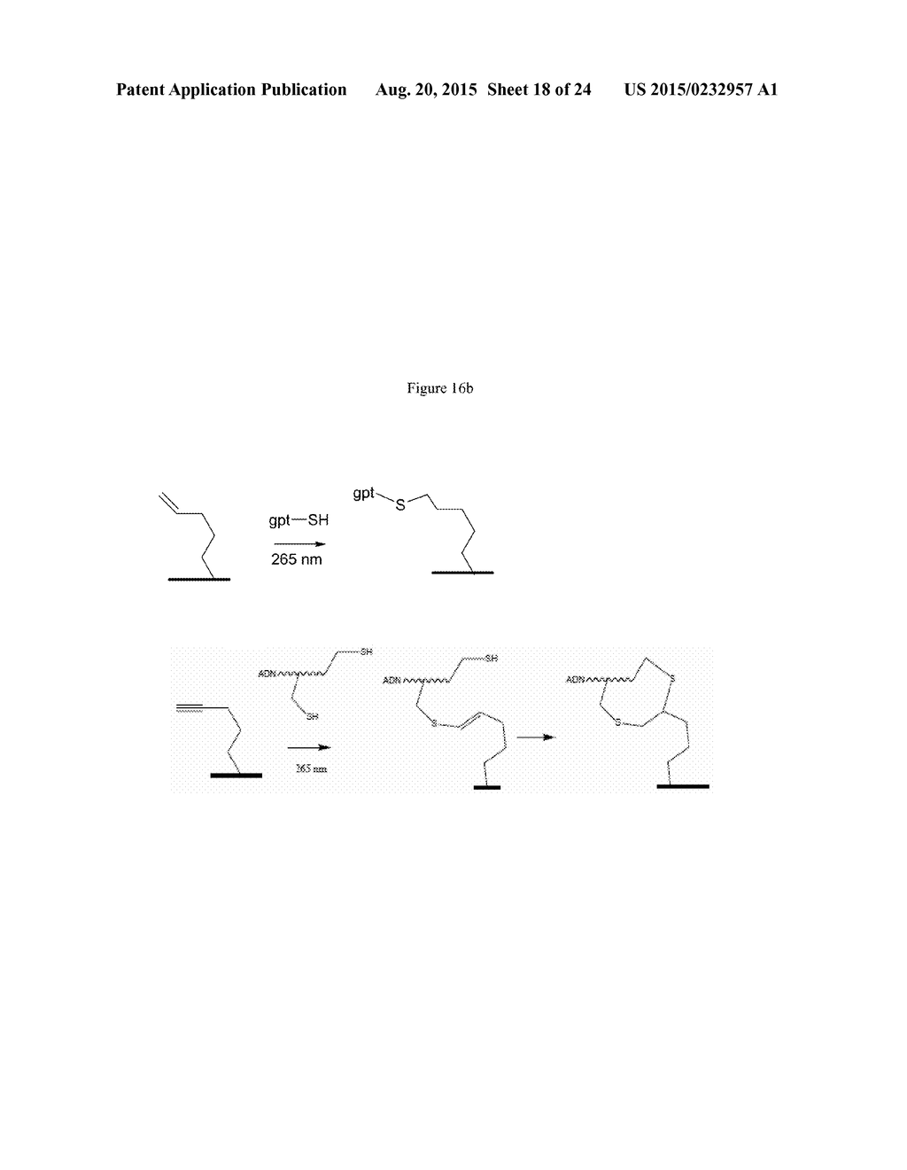 MODIFIED OLIGONUCLEOTIDES COMPRISING THIOL FUNCTIONS AND USE THEREOF FOR     DETECTING NUCLEIC ACIDS - diagram, schematic, and image 19