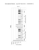 MODIFIED OLIGONUCLEOTIDES COMPRISING THIOL FUNCTIONS AND USE THEREOF FOR     DETECTING NUCLEIC ACIDS diagram and image