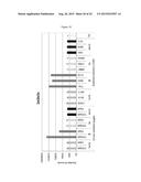 MODIFIED OLIGONUCLEOTIDES COMPRISING THIOL FUNCTIONS AND USE THEREOF FOR     DETECTING NUCLEIC ACIDS diagram and image