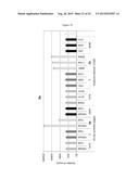 MODIFIED OLIGONUCLEOTIDES COMPRISING THIOL FUNCTIONS AND USE THEREOF FOR     DETECTING NUCLEIC ACIDS diagram and image