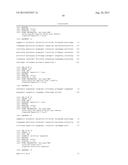 MODIFIED OLIGONUCLEOTIDES COMPRISING THIOL FUNCTIONS AND USE THEREOF FOR     DETECTING NUCLEIC ACIDS diagram and image