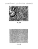 METHODS OF FORMING FRAGMENTATION BODIES, WARHEADS, AND ORDNANCE diagram and image